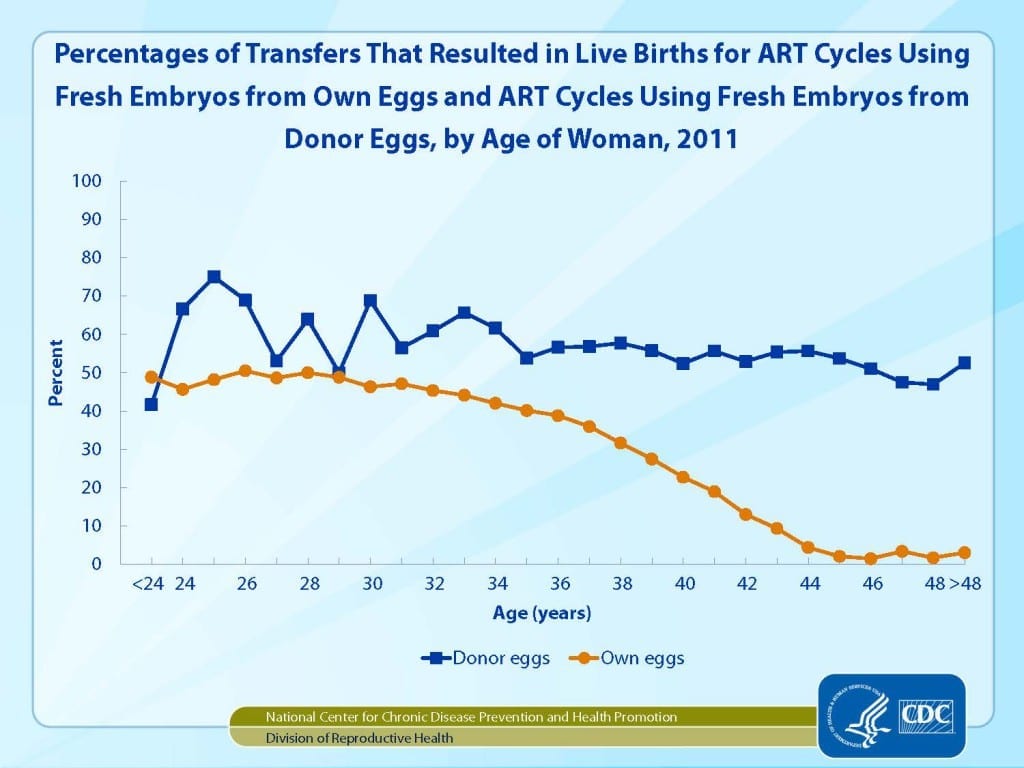 Fresh vs donor eggs